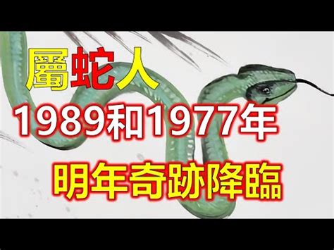 1989 蛇|1989年屬蛇人：一生的性格及命運